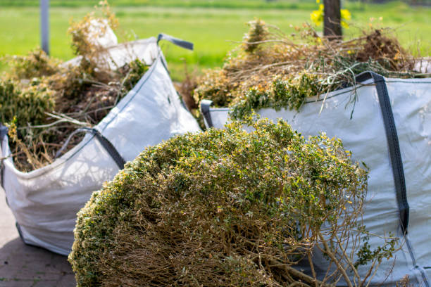 Best Mattress Disposal  in Westland, MI